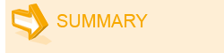 Summary