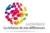 Logo-Diversite-2015_medium.jpg