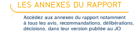 Les annexes du rapport - Acc&eacute;dez aux annexes du rapport et notamment &agrave; tous les avis, recommandations, d&eacute;lib&eacute;rations, d&eacute;cisiions, dans leur version publi&eacute;e au Journal Officiel