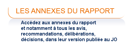 Les annexes du rapport - Acc&eacute;dez aux annexes du rapport et notamment &agrave; tous les avis, recommandations, d&eacute;lib&eacute;rations, d&eacute;cisiions, dans leur version publi&eacute;e au Journal Officiel