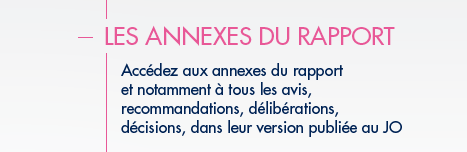 Les annexes du rapport - Acc&eacute;dez aux annexes du rapport et notamment &agrave; tous les avis, recommandations, d&eacute;lib&eacute;rations, d&eacute;cisiions, dans leur version publi&eacute;e au Journal Officiel